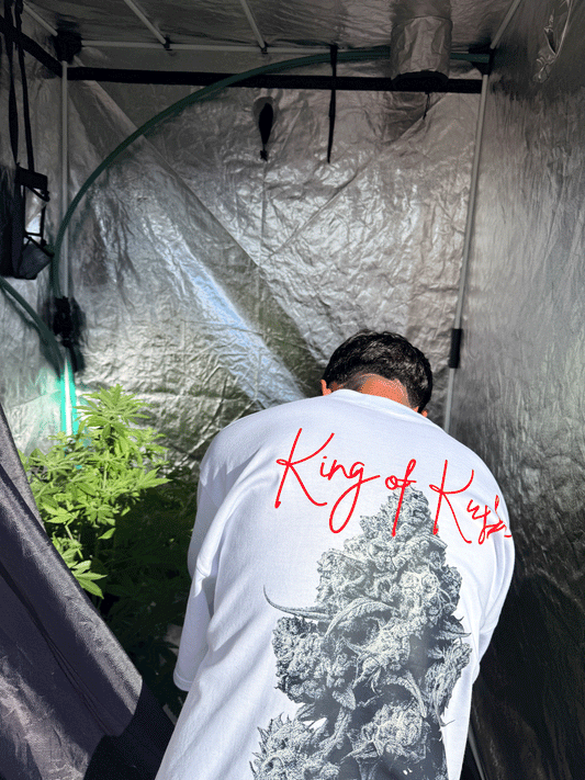 KING OF KUSH DROP 03 TSHIRT OVERSIZE BLACK